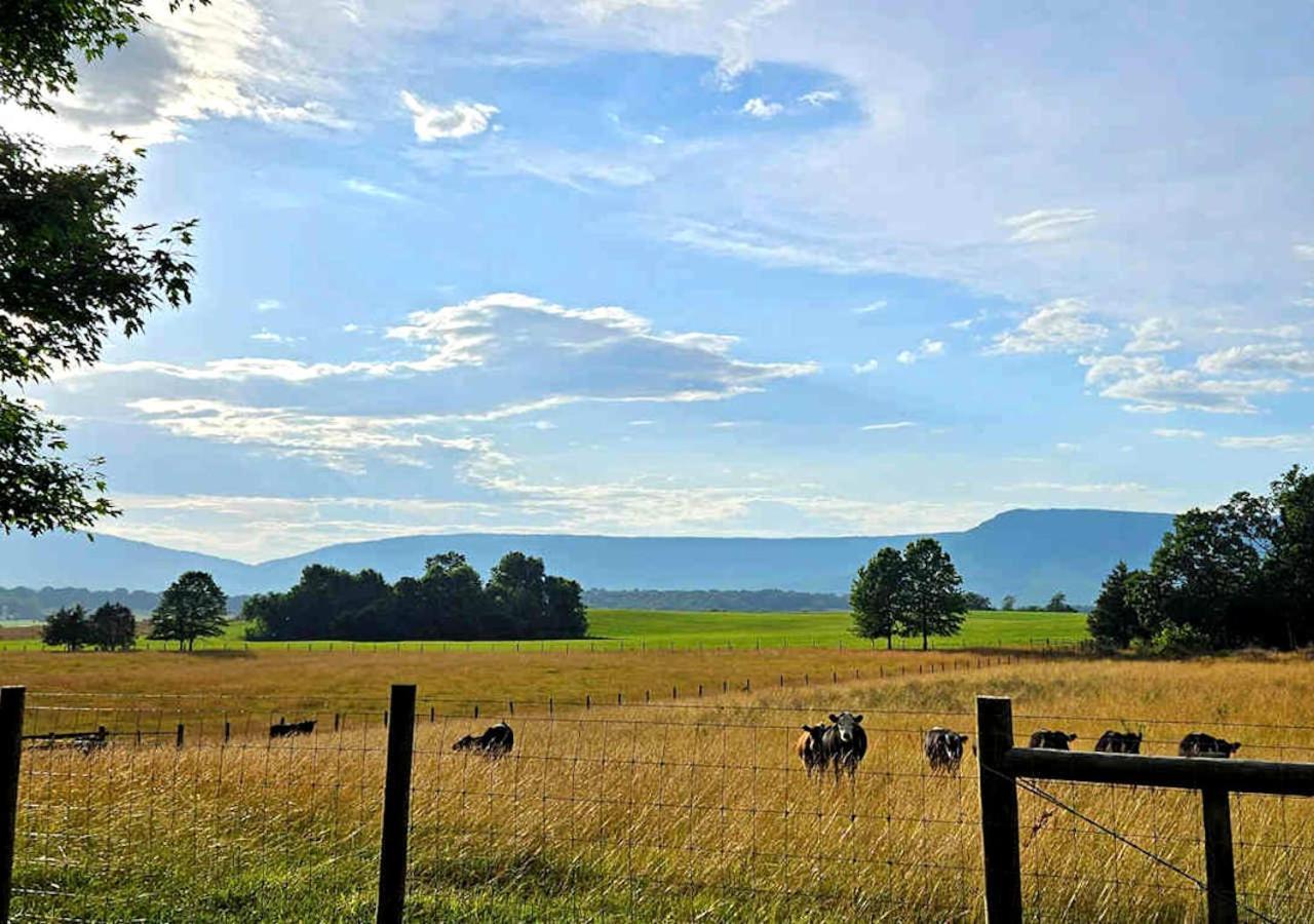 Piney Hill B&B And Cottages Luray Eksteriør billede