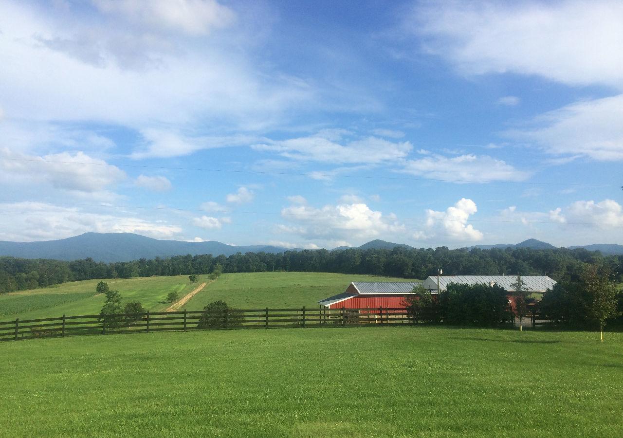 Piney Hill B&B And Cottages Luray Eksteriør billede